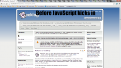 BeforeJavaScript.png
